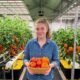 Fresh tomato and pepper harvest grown using the best hydroponic nutrients for vegetables