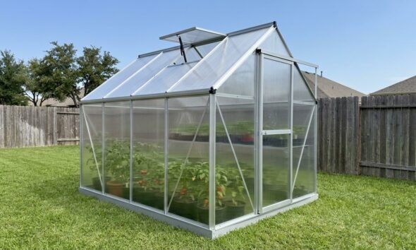Best greenhouse kits for beginners featuring a small polycarbonate backyard greenhouse