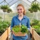 Thriving vegetables and herbs growing inside a beginner greenhouse kit