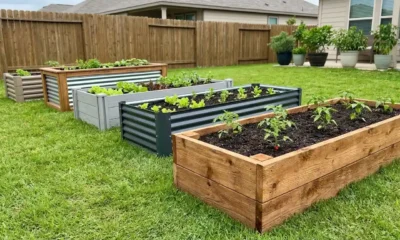 Five types of best raised garden bed kits including cedar wood, galvanized steel, and composite beds arranged in a backyard garden