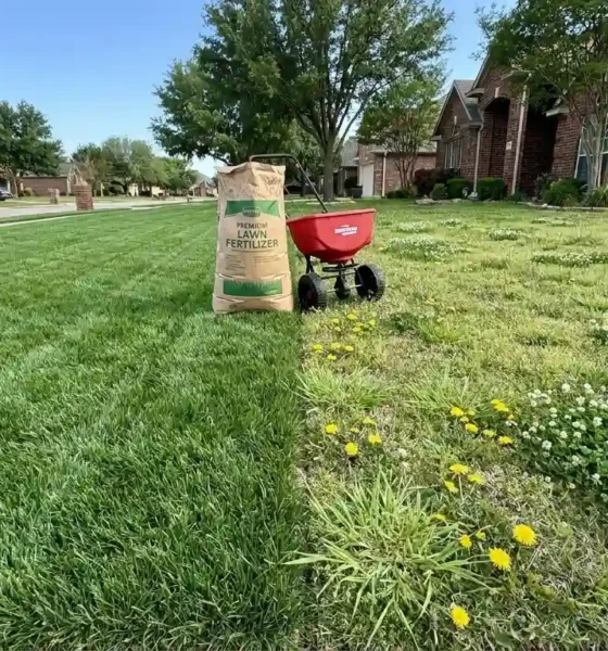 Best lawn fertilizer for weeds comparison showing healthy weed-free grass next to a weedy lawn patch