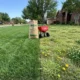 Best lawn fertilizer for weeds comparison showing healthy weed-free grass next to a weedy lawn patch